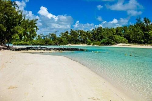 ile-aux-cerfs