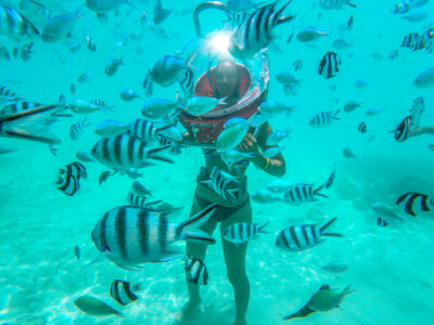 t/sdcard/DCIM/100GOPRO/GOPR1158
